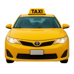 Simulador ANT Licencia Tipo C